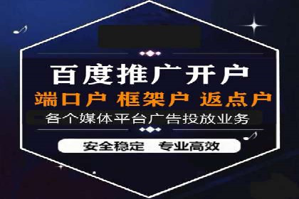 百度推广实战技巧：案例详解